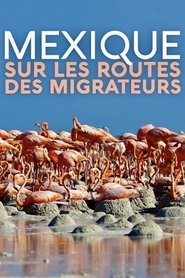 Poster Mexique, sur les routes des migrateurs 2019