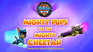 Mighty Pups vs. the Mighty Cheetah