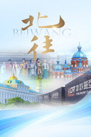 北往 (2024)