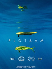 Poster for FLOTSAM