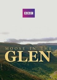 Poster Moose in the Glen