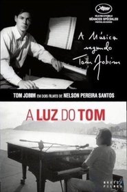 Poster A Luz do Tom 2013