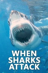 When Sharks Attack When Sharks Attack