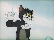 The Zoot Cat