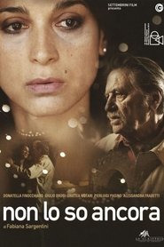 Poster Non lo so ancora 2013