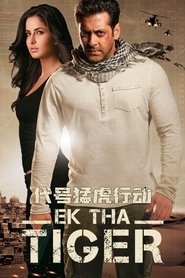 代号猛虎行动 (2012)