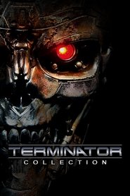 O Exterminador do Futuro: Destino Sombrio Dublado Online