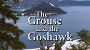 The Grouse and the Goshawk