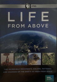 MongoDB.Entities.FuzzyString