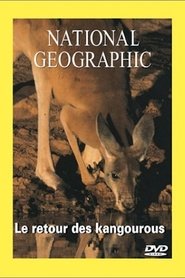 Poster National Geographic Le Retour Du Kangourou 1970