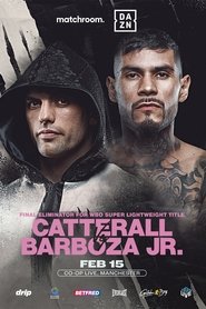 Jack Catterall vs. Arnold Barboza Jr. (2025)