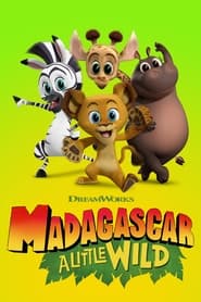 Madagascar: A Little Wild постер