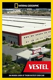 Poster Megafactories: Vestel City 2013