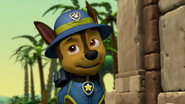 Pups Save the Maze Explorers