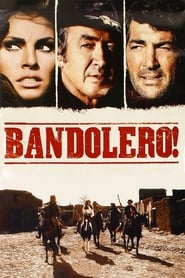 Poster Bandolero! 1968