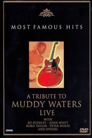 Poster A Tribute to Muddy Waters - Live