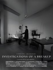 Investigations of a Breakup (2025)