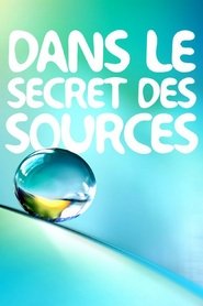 Poster for Dans le Secret des Sources