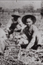 In No One's Shadow: Filipinos in America