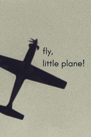 fly, little plane!
