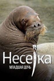 Poster Neseyka: The Youngest Daughter 2020