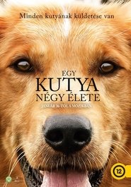 Egy kutya négy élete poszter