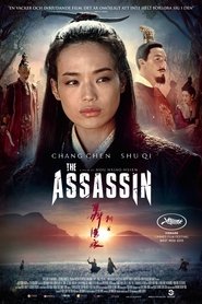 The Assassin (2015)