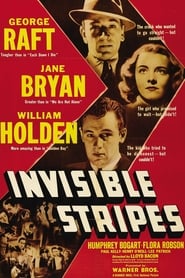 Invisible Stripes постер