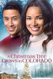 A Christmas Tree Grows in Colorado постер