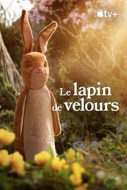 Le lapin de velours