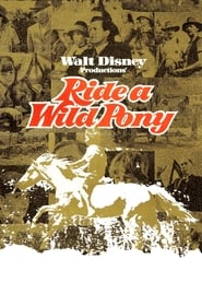  Ride a Wild Pony