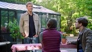 Episode 4438