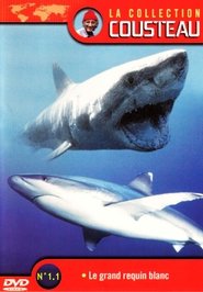 Poster for La Collection Cousteau N° 1 | Le Grand Requin Blanc | Les Requins Dormeurs Du Yucatan