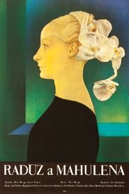 Poster Radúz a Mahulena 1971