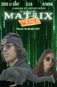 The Matrix : Suédé (2024)