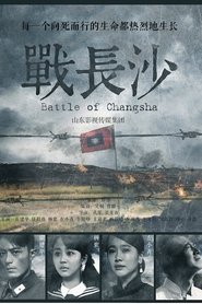 Battle of Changsha (2014)