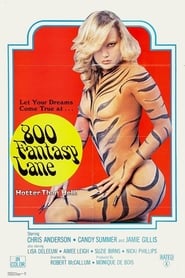 800 Fantasy Lane (1979)