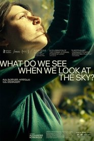 Poster What Do We See When We Look at the Sky? 2021