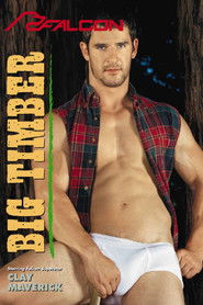 Big Timber