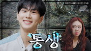 Episode 40