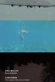 The Length of My Gaze at Night