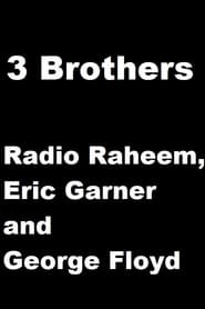 3 Brothers - Radio Raheem, Eric Garner and George Floyd 2020