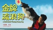 A Gold Medal Winning Tramp Dog en streaming