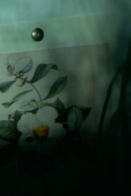 Poster out of touch (franklinia still life) 2023