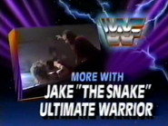 August 10, 1991 - Superstars of Wrestling 258