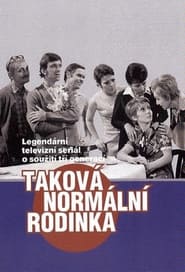 Taková normální rodinka poster