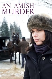 Image An Amish Murder 2013