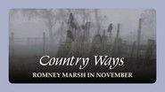 Romney Marsh in November