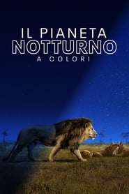 Il pianeta notturno a colori