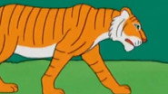 Le tigre